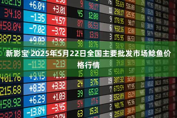 新影宝 2025年5月22日全国主要批发市场鲶鱼价格行情